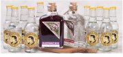Gin-Set f&uuml;r 66&euro;: 2x Elephant Gin & Thomas Henry Tonic 10er Set