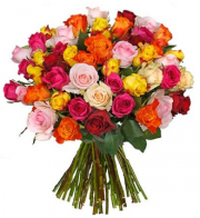 Grandios! Bunter XXL-Rosenstrau&szlig; "Royal Roses" mit 50 Rosen f&uuml;r nur 24,98 Euro inkl. Versand