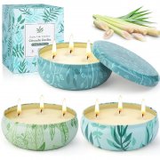 Gro&szlig;e Citronella Kerze f&uuml;r drau&szlig;en zum Top-Preis