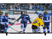GRUNDIG 55 GUB 8862, 139 cm (55 Zoll), UHD 4K, SMART TV