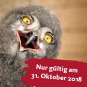  Hannover Zoo-Feiertags-Special - 50 % Rabatt auf alle regul&auml;ren Tageskarten