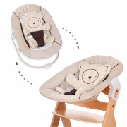 Hauck Neugeborenen Aufsatz / Alpha Bouncer 2in1