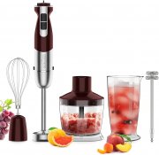 Healthomse 5 in 1 Stabmixer Set