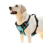 HEELE Hundegeschirr f&uuml;r gro&szlig;e Hunde (Anti-Zug, mit Griff) f&uuml;r nur 11,88&euro;