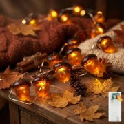 Herbstliche Eichel-Lichterkette f&uuml;r 5&euro; bei Amazon