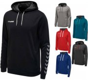 Hummel Authentic Poly Hoodies in 5 Farben
