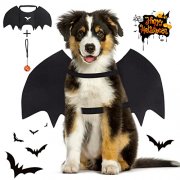 Hundekost&uuml;m: Fledermausfl&uuml;gel f&uuml;r Halloween zum Schn&auml;ppchenpreis