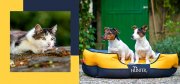 HUNTER Sale Aktion 72% Rabatt auf Hundezubeh&ouml;r wie Hundeleinen, Spielzeug, N&auml;pfe und mehr