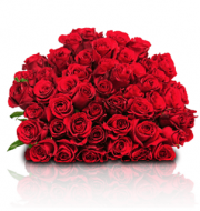 Klassischer XXL-Rosenstrau&szlig; mit 41 roten Rosen nur 24,98 Euro inkl. Versand bei Blume Ideal