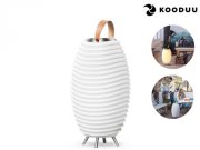 Kooduu Synergy 65 | Bluetooth-Lautsprecher | LED-Leuchte f&uuml;r 105,90&euro; statt 133,90&euro;