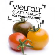 kostenlose Tomatensamen von der Heinrich B&ouml;ll Stiftung