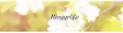 Kostenloser Ringgr&ouml;&szlig;en-Bestimmer von 21Diamonds