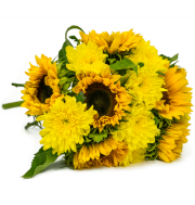 Lass die Sonne in dein Herz !!! Sunshine Love f&uuml;r 20,98&euro; statt 30,98&euro;