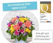 LIDL-Blumen: 20 % Rabatt auf Alles sichern