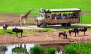 L&uuml;neburger Heide- 2&Uuml;N/HP 4* Hotel + Eintritt Serengeti Park f&uuml;r 259&euro; statt 445&euro;