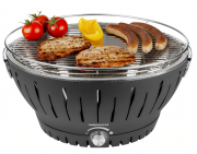 MEDION Holzkohlegrill mit Aktivbel&uuml;ftung MD 18722