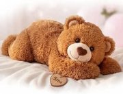 Mewaii Braunb&auml;r (2,3kg) zum Schn&auml;ppchenpreis bei Amazon
