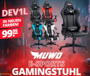 MUWO DEV1L E-Sports Gamingstuhl mit Kopf- und R&uuml;ckenkissen in 5 Farben