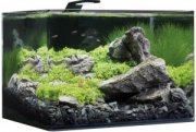 Nano Aquarium Komplettset mit Panoramascheibe 55 l nur 143,50&euro; inkl. Versand