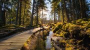 Natur pur im Harz ab 69&euro; statt 115&euro;