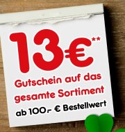 Netto &euro; 13,&ndash; auf Alles nur Heute ab &euro; 100,&ndash;