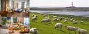 Nordsee Kurztrip f&uuml;r Gourmets und Strandliebhaber f&uuml;r 2 Personen inkl. Fr&uuml;hst&uuml;ck