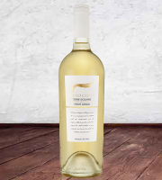 Nur heute bei ebrosia: Farnese Pinot Grigio Primo Canto IGT 2017 pro Flasche nur 5,99 Euro