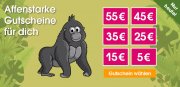 Nur heute bis zu 55 Euro Rabatt auf fast alles im BabyMarkt Shop