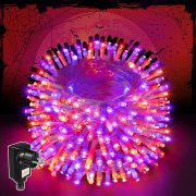 Ollny 30 Meter 300 LED Lichterkette f&uuml;r den Au&szlig;en- und Innenbereich