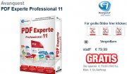 PDF Experte Professional 11 gratis (VSK 4,90 &euro;) statt 44,95 &euro; (inkl. VSK)