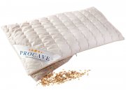 PROCAVE Dinkelkissen 40x80cm, made in Germany, atmungsaktives Kissen mit Dinkel-Spelz