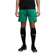 Puma Teamrise Shorts f&uuml;r nur 10,79&euro; bei Amazon