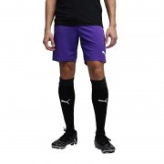 Puma teamRISE Shorts in Prism Violet f&uuml;r nur 9,03&euro;