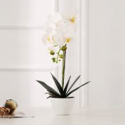 Qucover K&uuml;nstliche Orchidee 50 cm mit &Uuml;bertopf aus Keramik