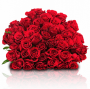 Red Roses Week bei Blume Ideal mit tollen Rosenstr&auml;u&szlig;en schon ab 19,98 Euro inkl. Versand