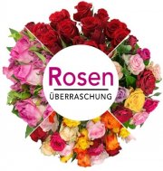 Rosen&uuml;berraschung f&uuml;r 23,98 incl. Versand