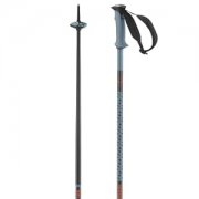 Salomon Polar Pro Wanderst&ouml;cke f&uuml;r nur 8,77&euro; im Angebot