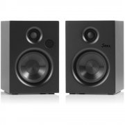 SAXX AS 30 Bluetooth Lautsprecher
