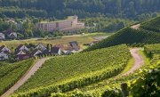 Schwarzwald 2 &Uuml;N/F 1 Abendessen+Wellness bei Groupon f&uuml;r 179&euro; statt 346,40&euro;