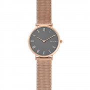 Skagen SKW2675 Damenuhr