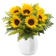 Strau&szlig; aus XXL Sonnenblumen f&uuml;r 21,98&euro; inkl. Versand