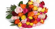Strau&szlig; mit 50 bunten Rosen f&uuml;r 27,98&euro; inkl. Versand 
