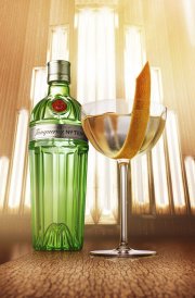 Tanqueray No. Ten Distilled Gin (1 x 0.7 l) 