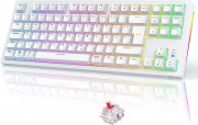 TECURS Kabellos Mechanische Gaming Tastatur mit RGB-Beleuchtung