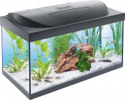 Tetra Starter Line 54 Liter Aquarium-Komplettset mit LED-Beleuchtung