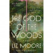 The God of the Woods Roman f&uuml;r nur 11,59&euro; bei Amazon