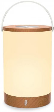 Tischlampe LED TaoTronics Vintage mit Farbwechsel