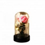  Transparent Glass Luminous Ornaments f&uuml;r 6,79&euro;