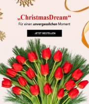 Tulpenstrau&szlig; "ChristmasDream" f&uuml;r 19,98&euro; incl. VSK statt 29,98&euro;