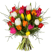  Tulpenstrau&szlig; Modern Love f&uuml;r nur 20,94&euro;